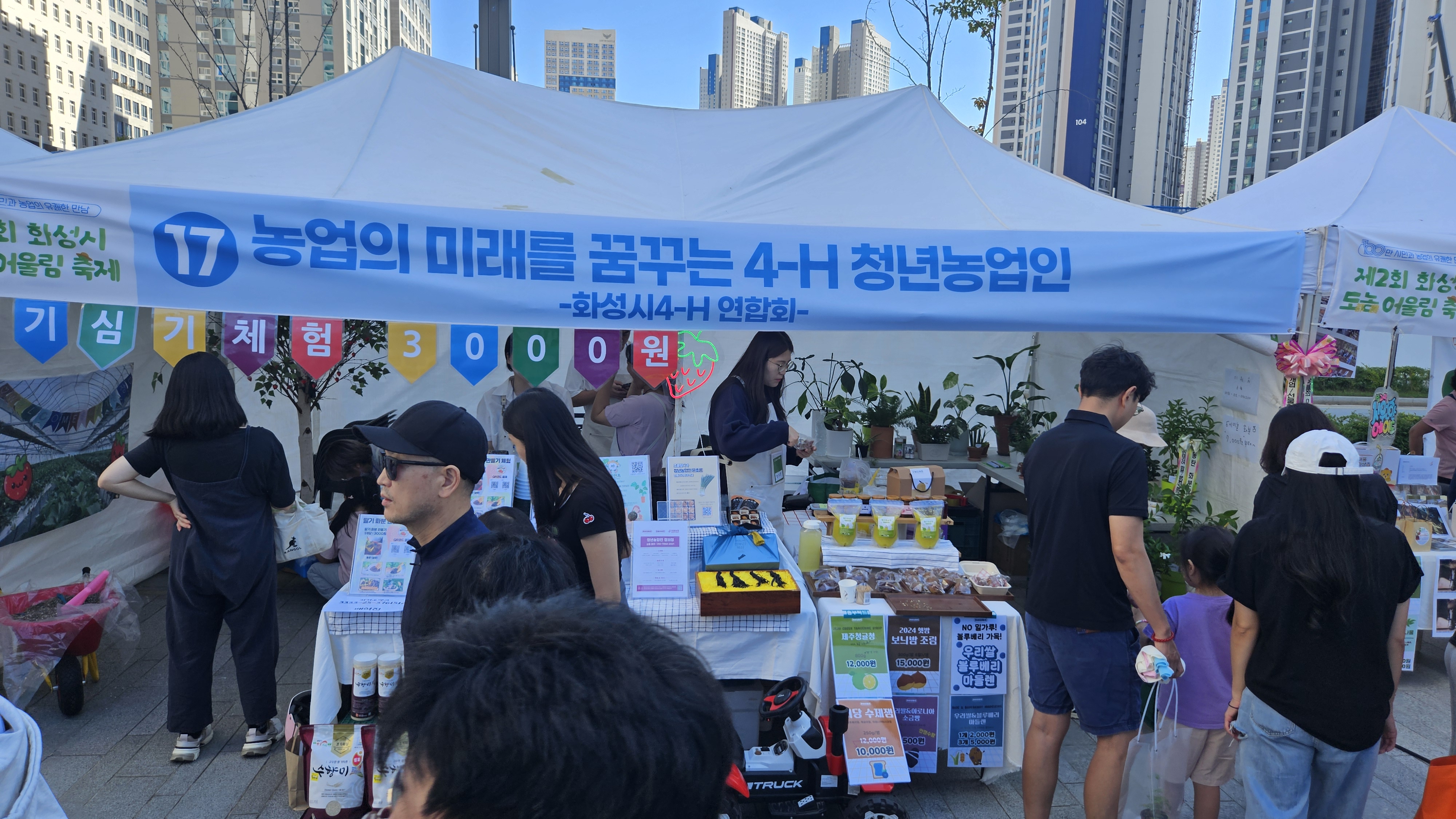 제 2회 도농어울림축제- 화성시 4-H 청년농업인