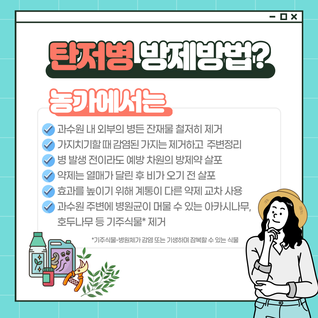 노지과일 탄저병